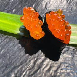 Œufs de saumon